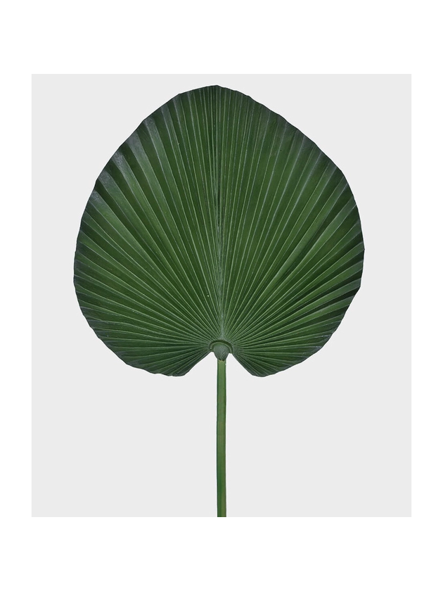 folhagem palmeira leque verde planta artificial grande