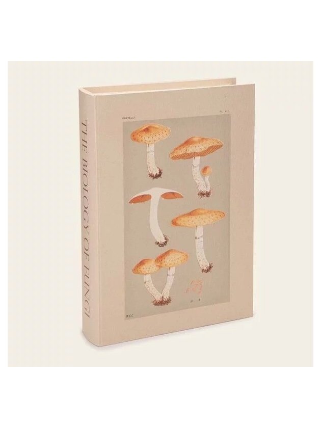 livro caixa fungi g