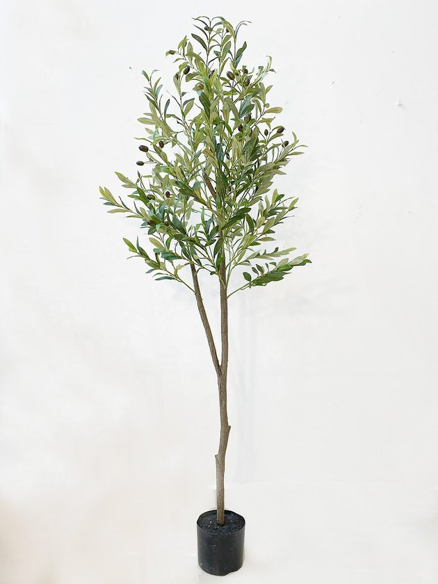 arvore de oliveira alta planta toque real lili casa home decor