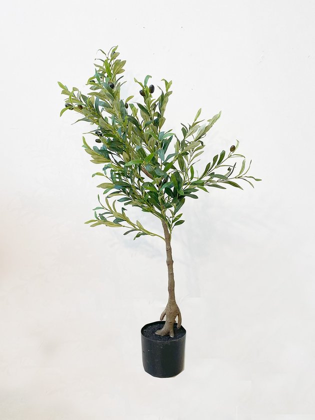 arvore de oliveira media planta toque real lili casa home decor